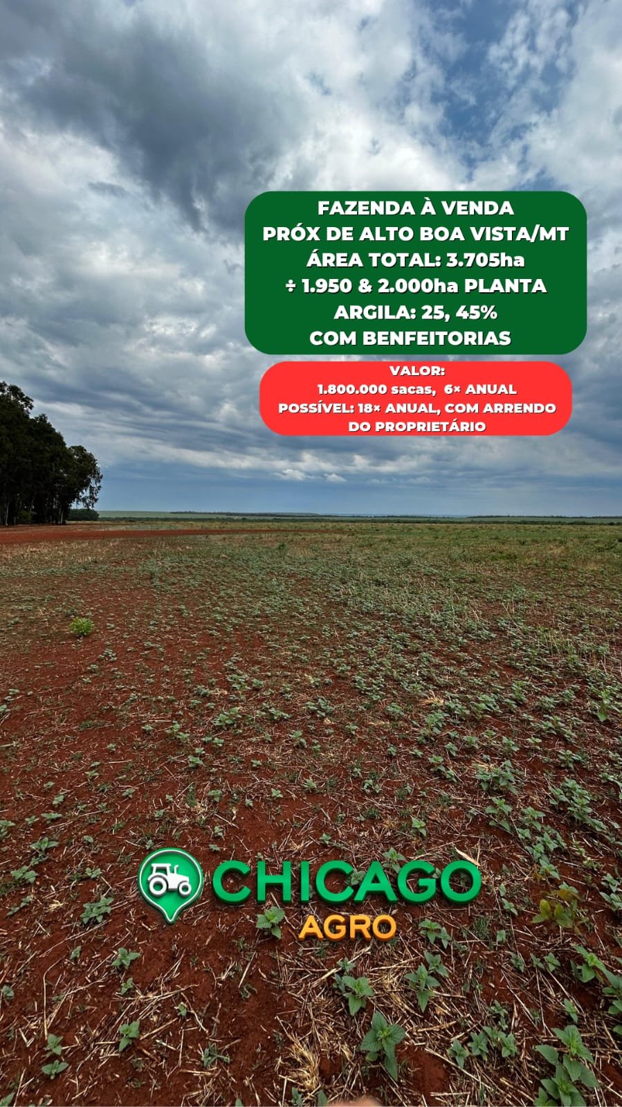 Imagem do WhatsApp de 2025-10-14 à(s) 08.05.28_a2ba1810