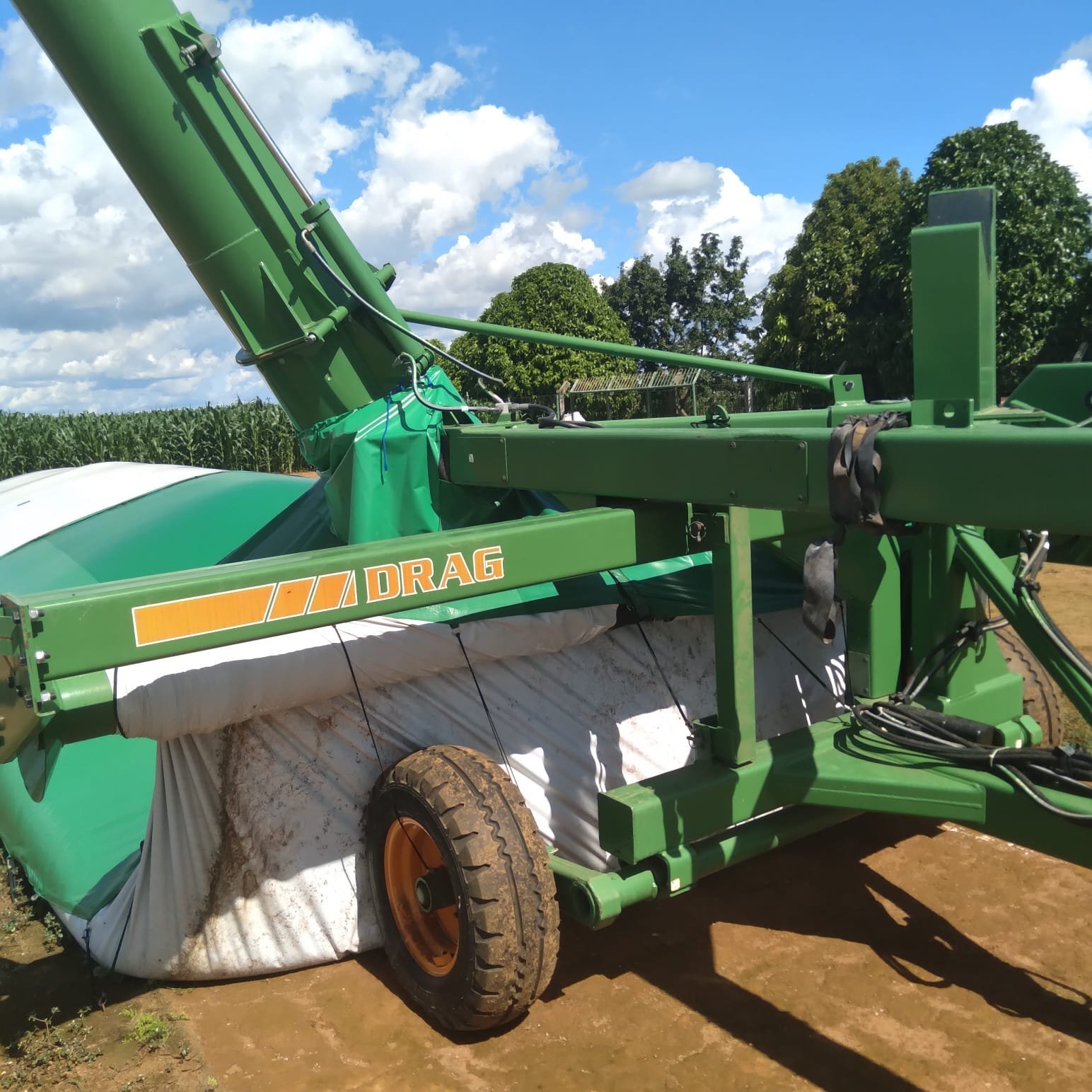 IMG-20240607-WA03131