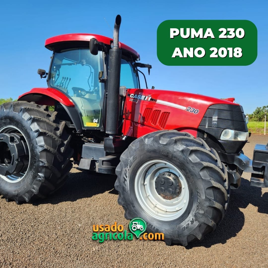 IMG-20241101-WA02192