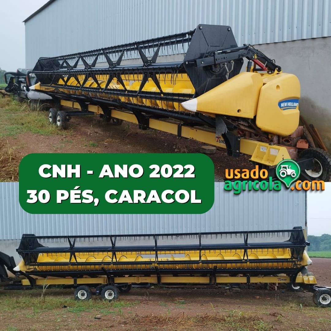 IMG-20241202-WA01323