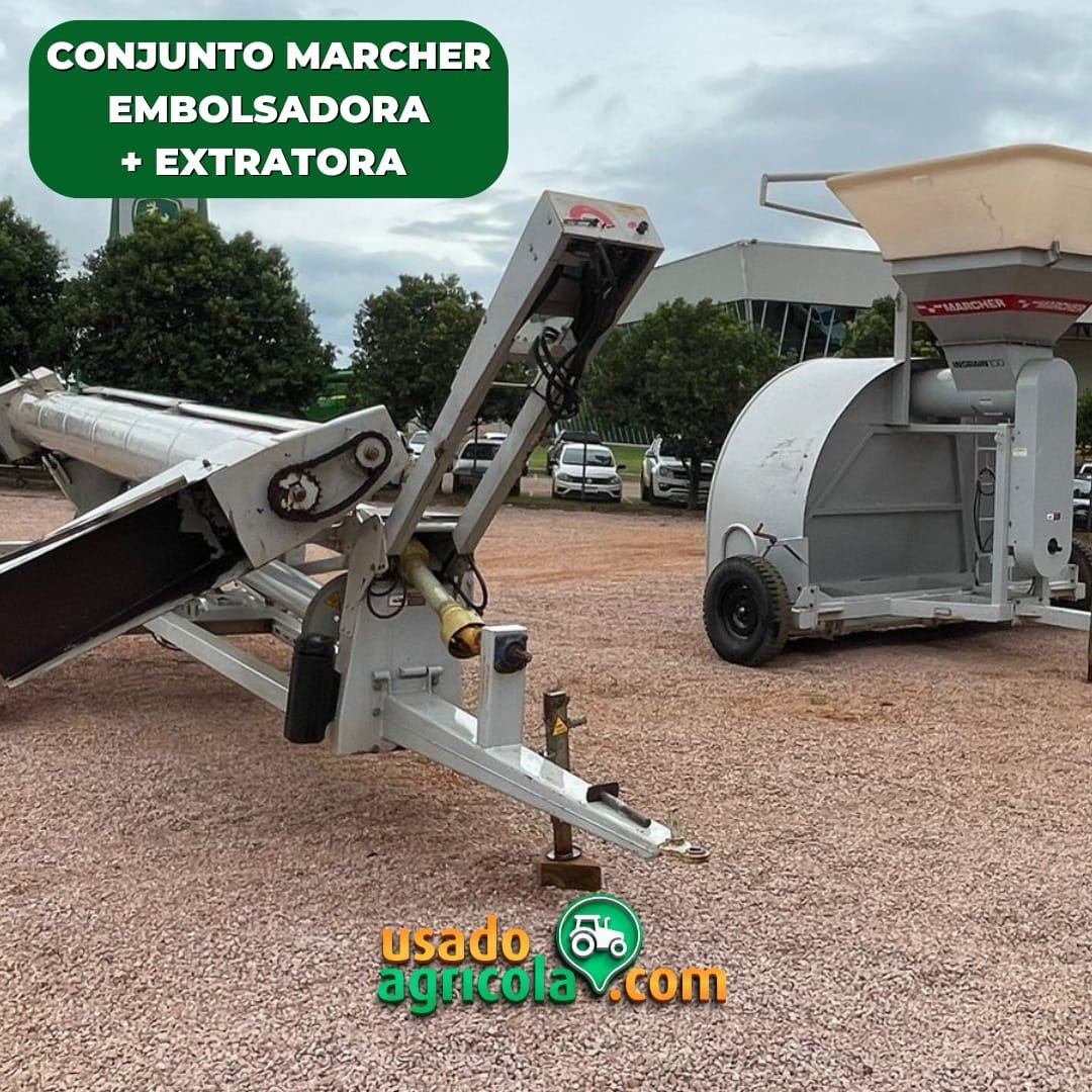 IMG-20250120-WA00733