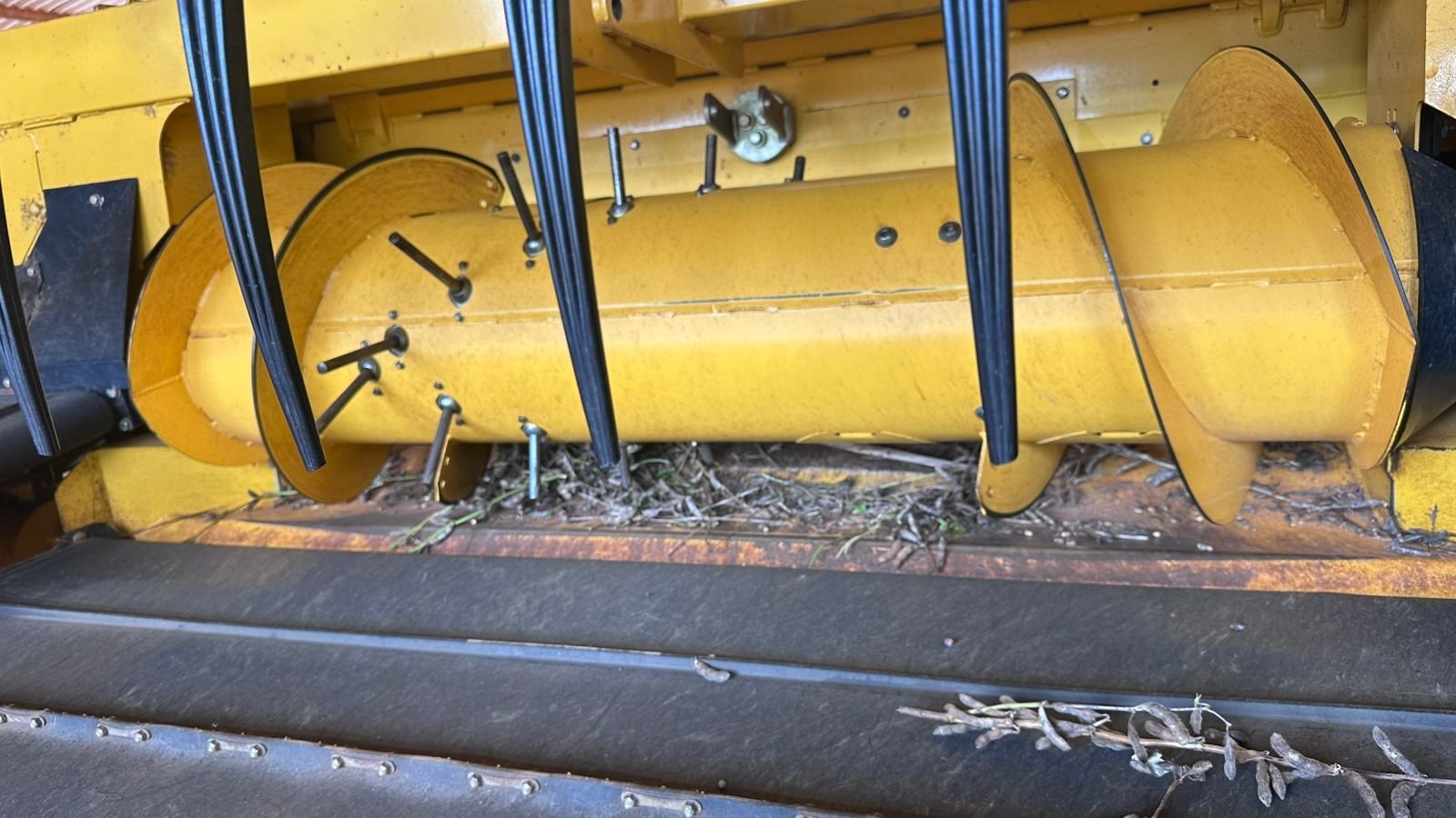 IMG-20250123-WA00841