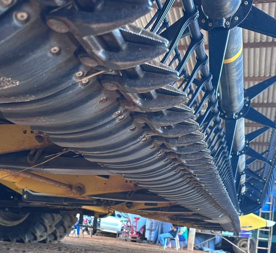 IMG-20250123-WA00851