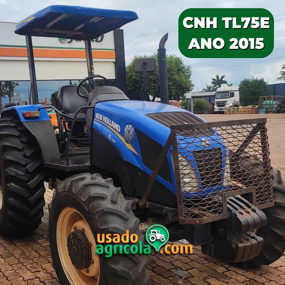 IMG-20250127-WA00371