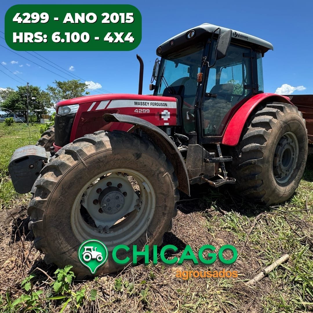 IMG-20250219-WA00781