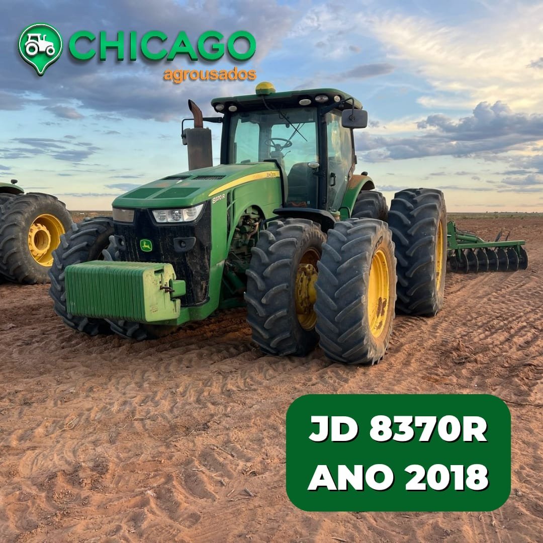 IMG-20250312-WA03271