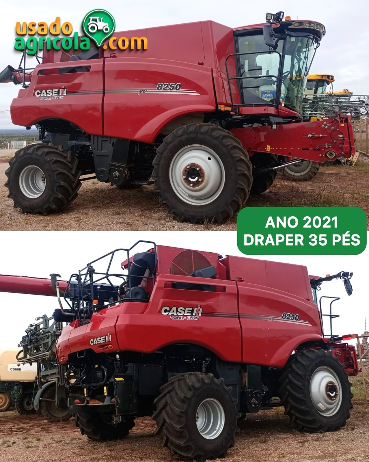 WhatsApp-Image-2024-02-19-at-11.18.44