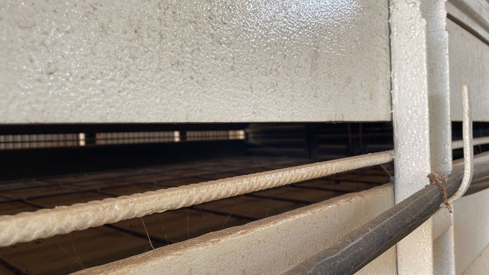 WhatsApp-Image-2024-03-01-at-14.41.55