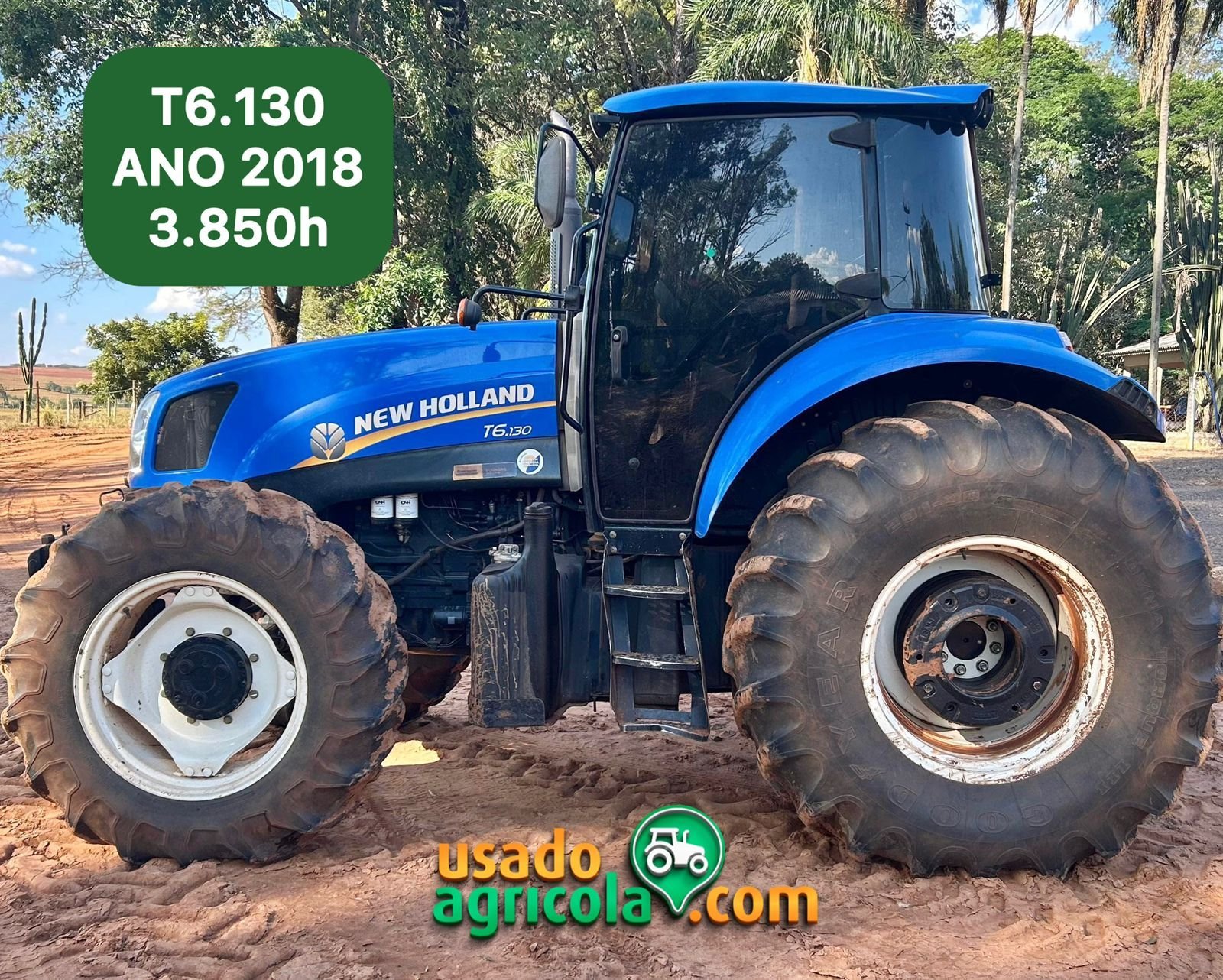 WhatsApp-Image-2024-07-26-at-10.00.50