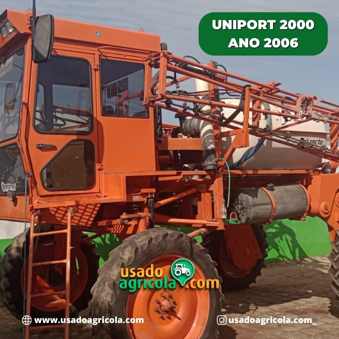 WhatsApp-Image-2024-08-07-at-20.09.38