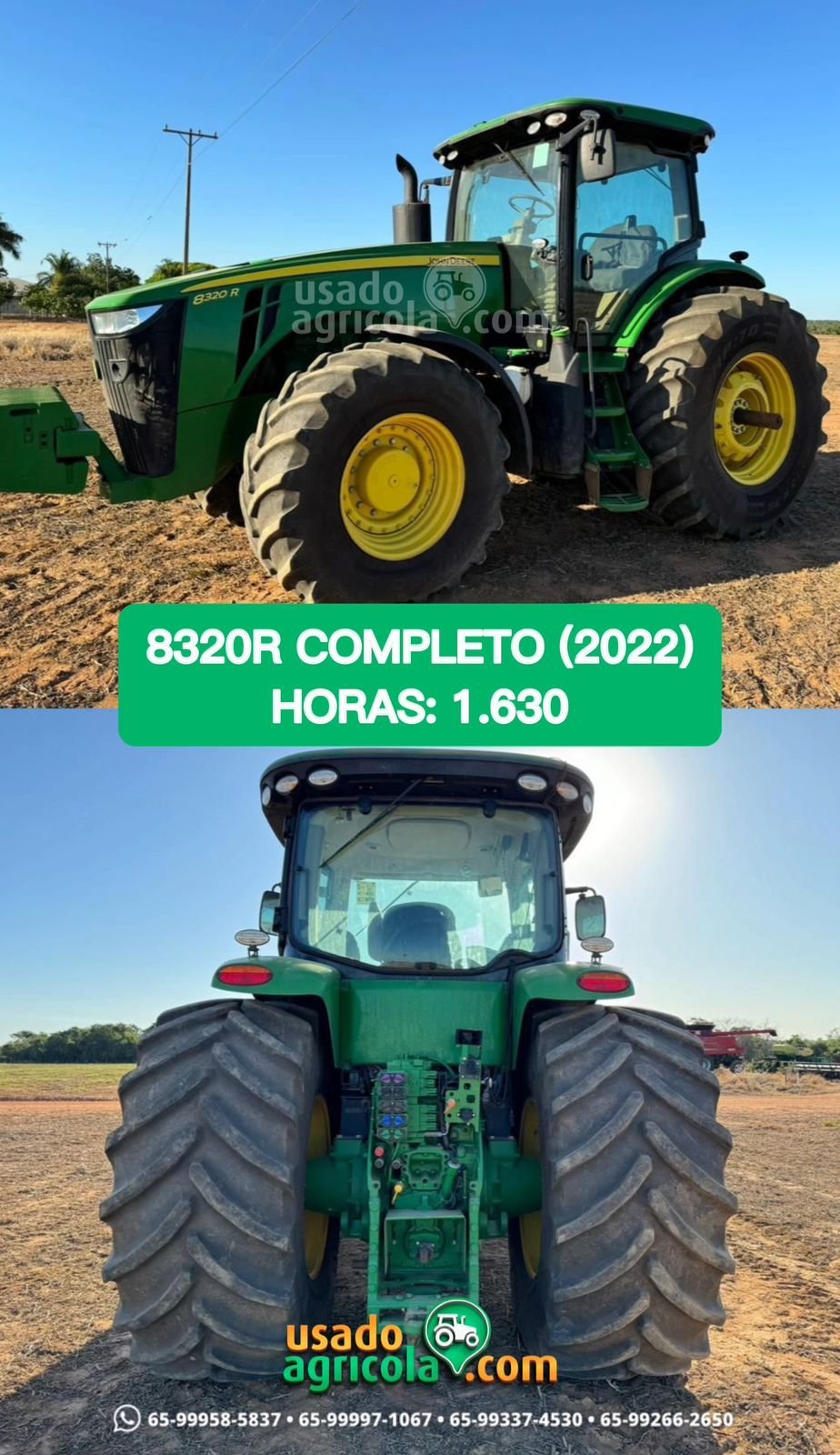 WhatsApp-Image-2024-08-28-at-13.46.22