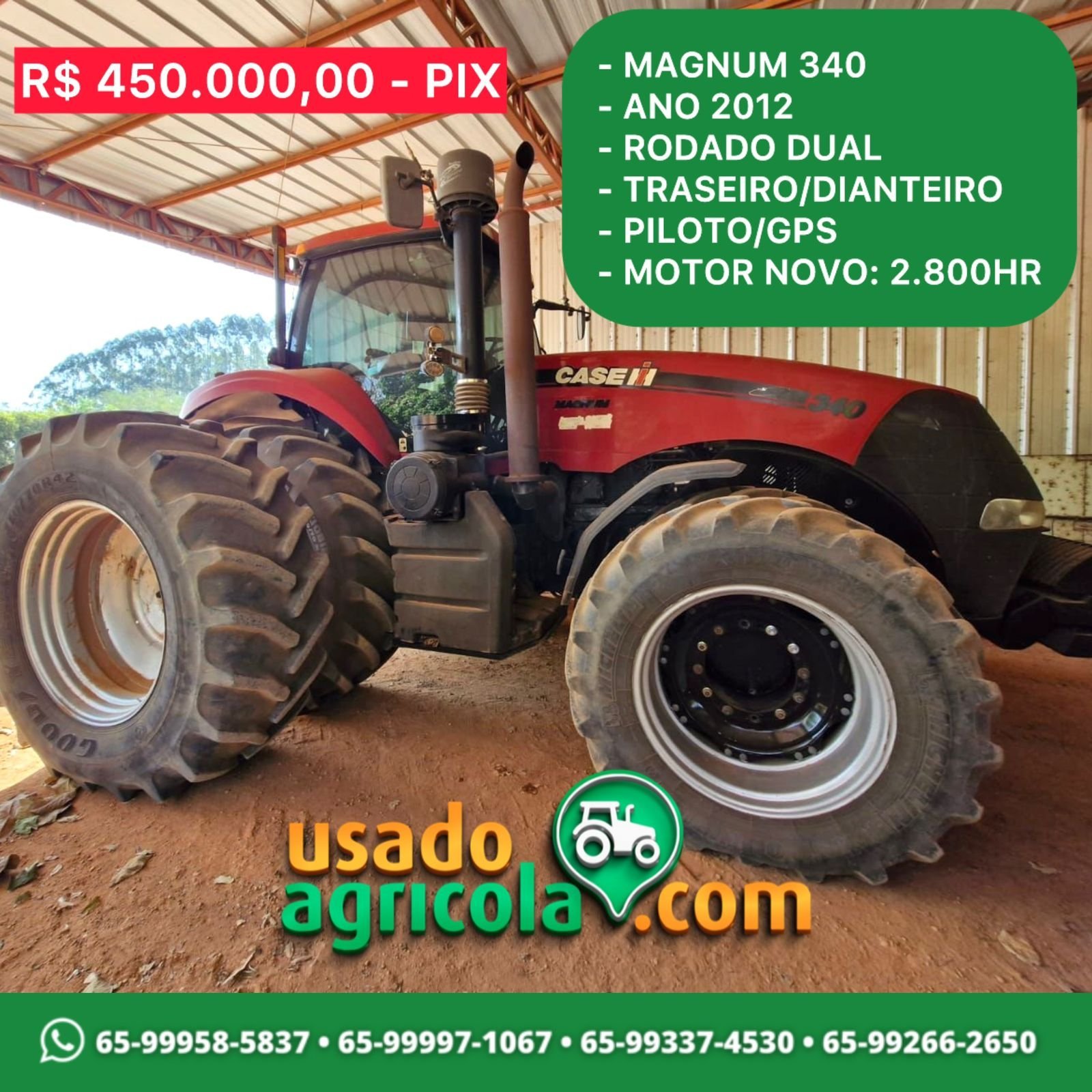 WhatsApp-Image-2024-08-29-at-10.32.26