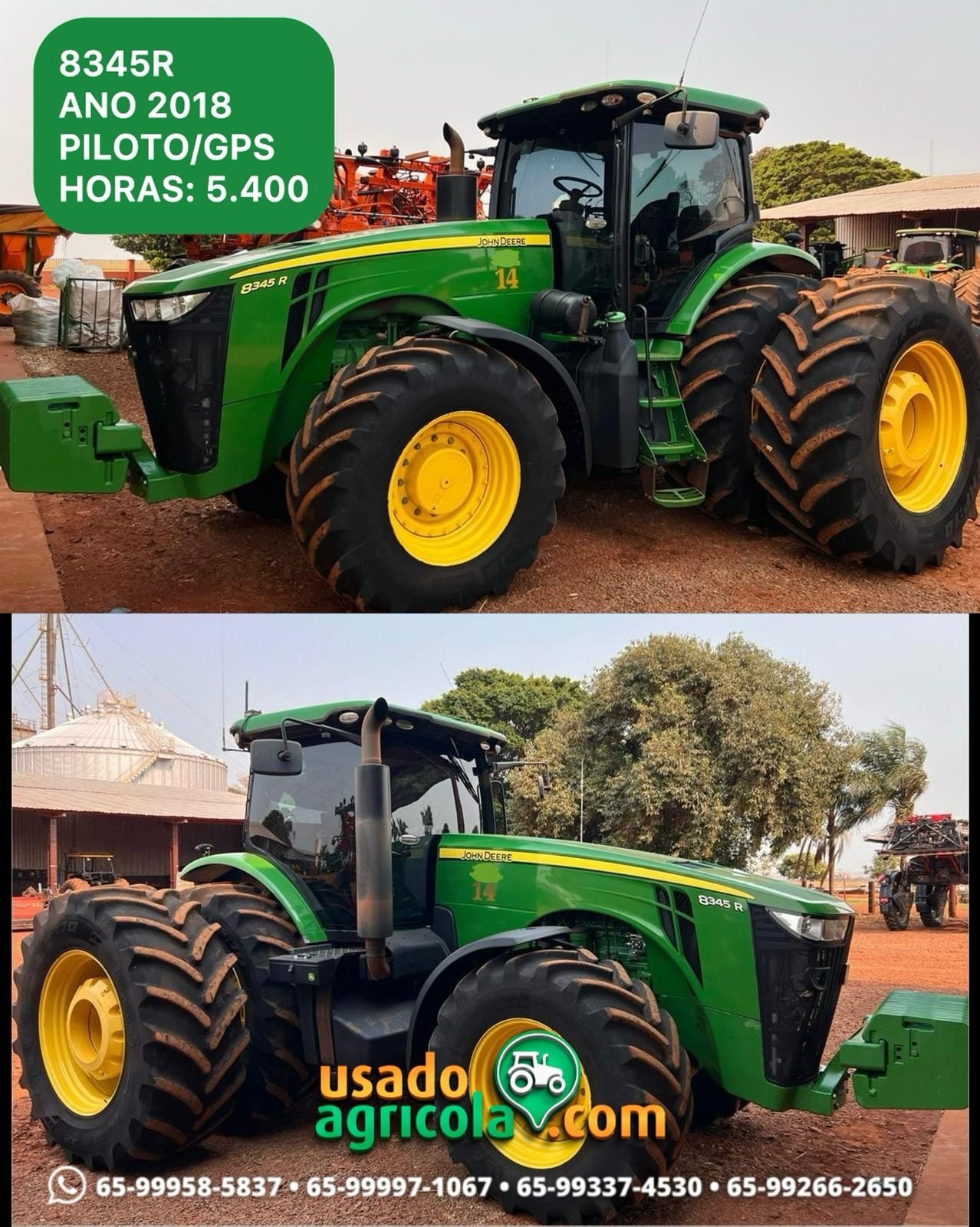 WhatsApp-Image-2024-09-11-at-08.13.19