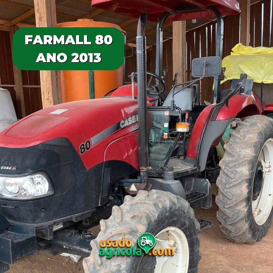 WhatsApp-Image-2024-10-30-at-17.51.02