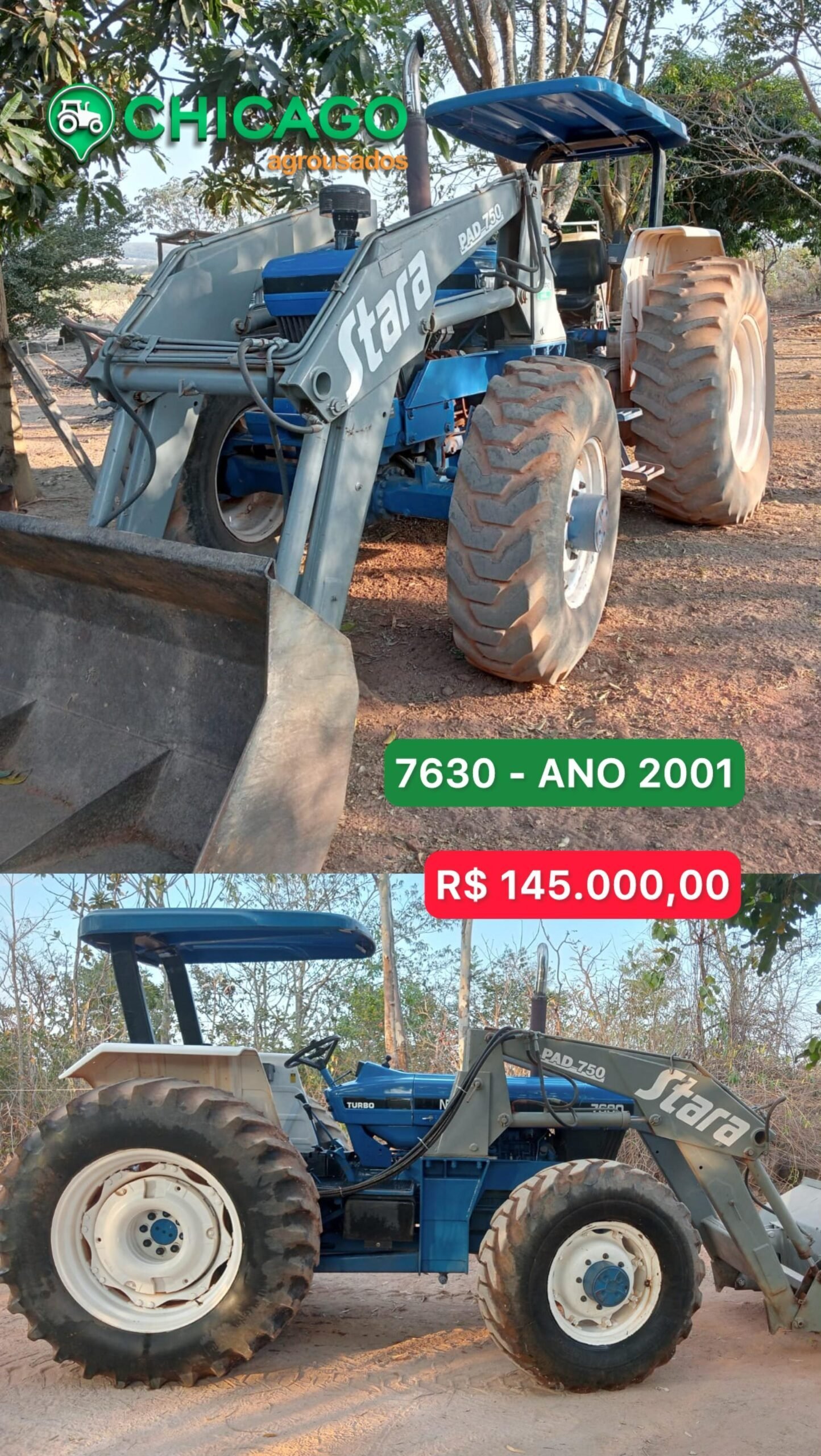 WhatsApp-Image-2025-02-12-at-20.10.08-scaled