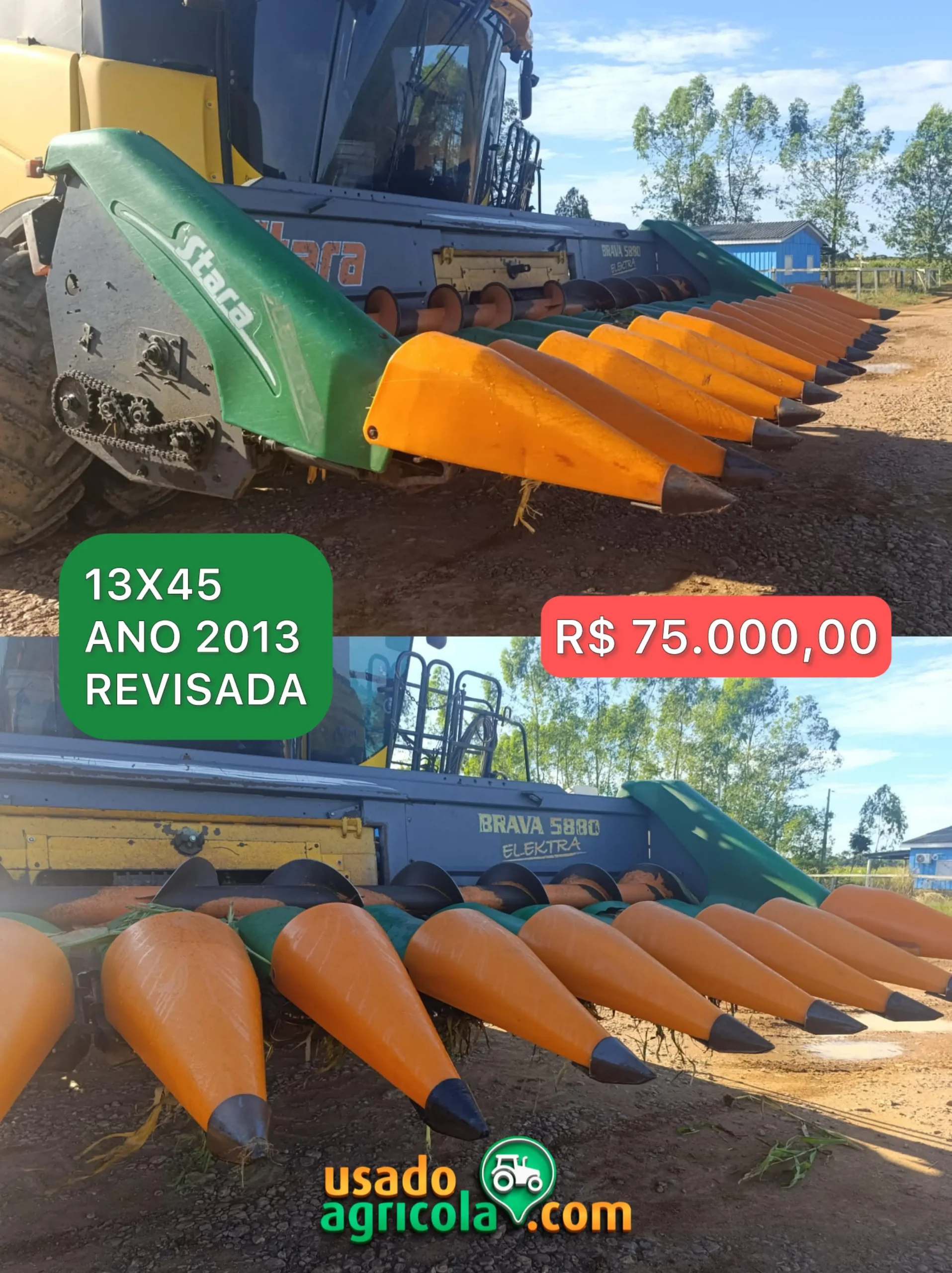 IMG-20250603-WA0047