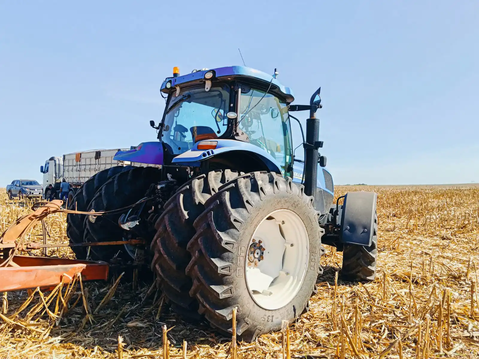 IMG-20250609-WA0020(1)