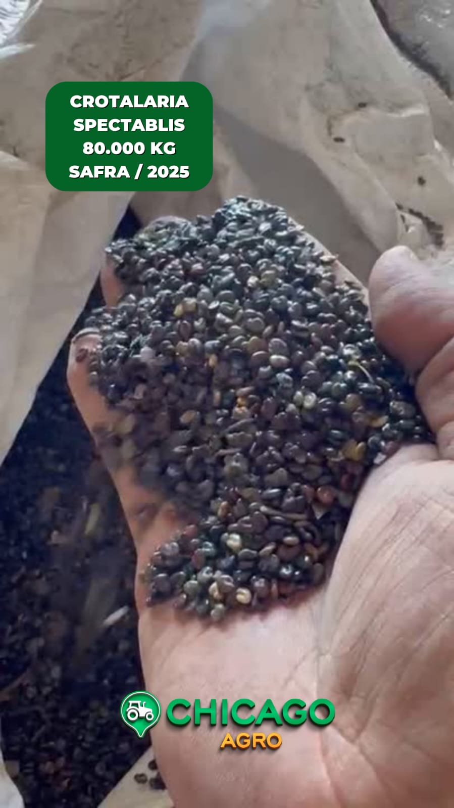 IMG-20250829-WA0058(1)