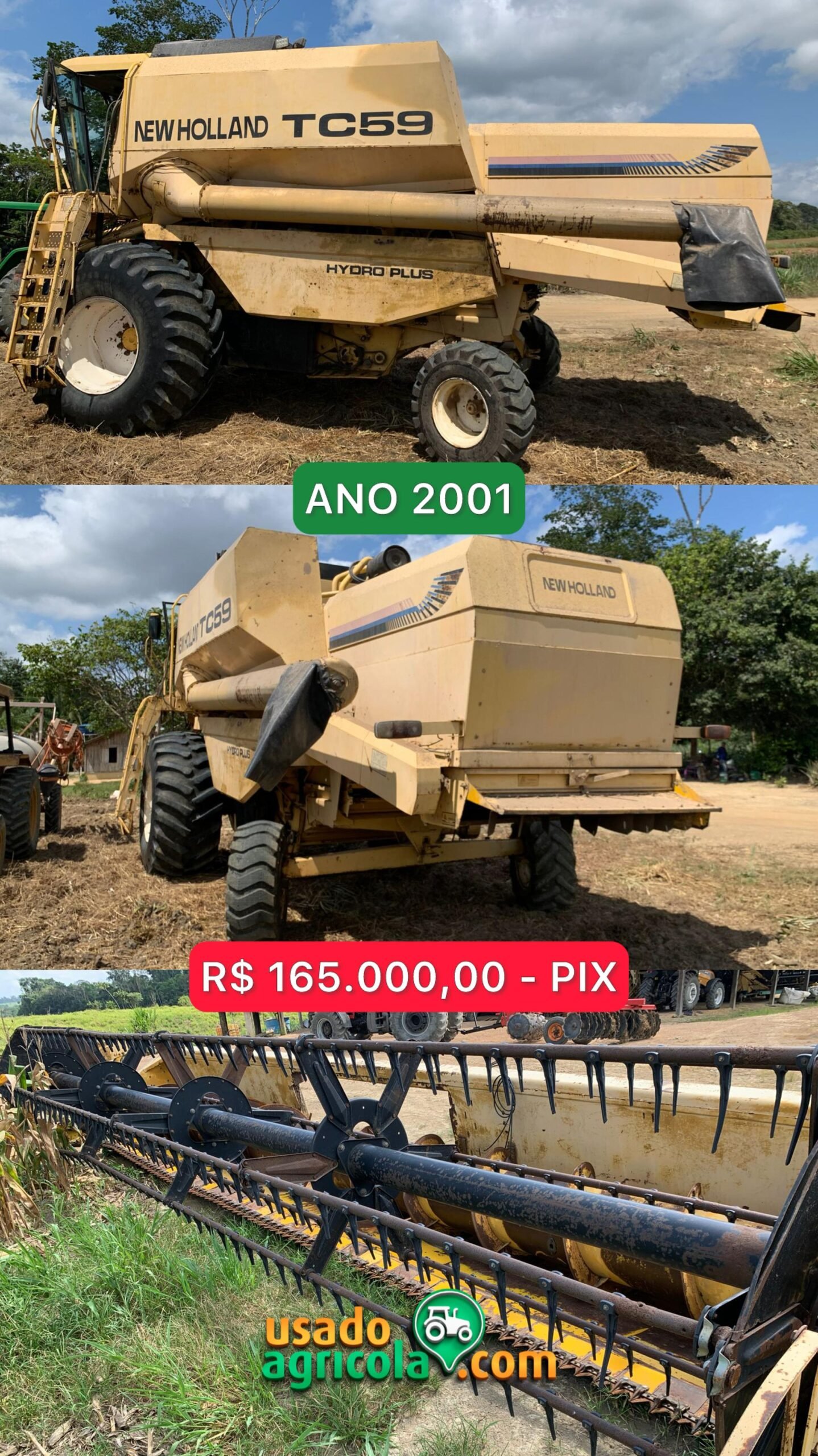 Imagem do WhatsApp de 2025-08-29 à(s) 11.19.12_fec2e174