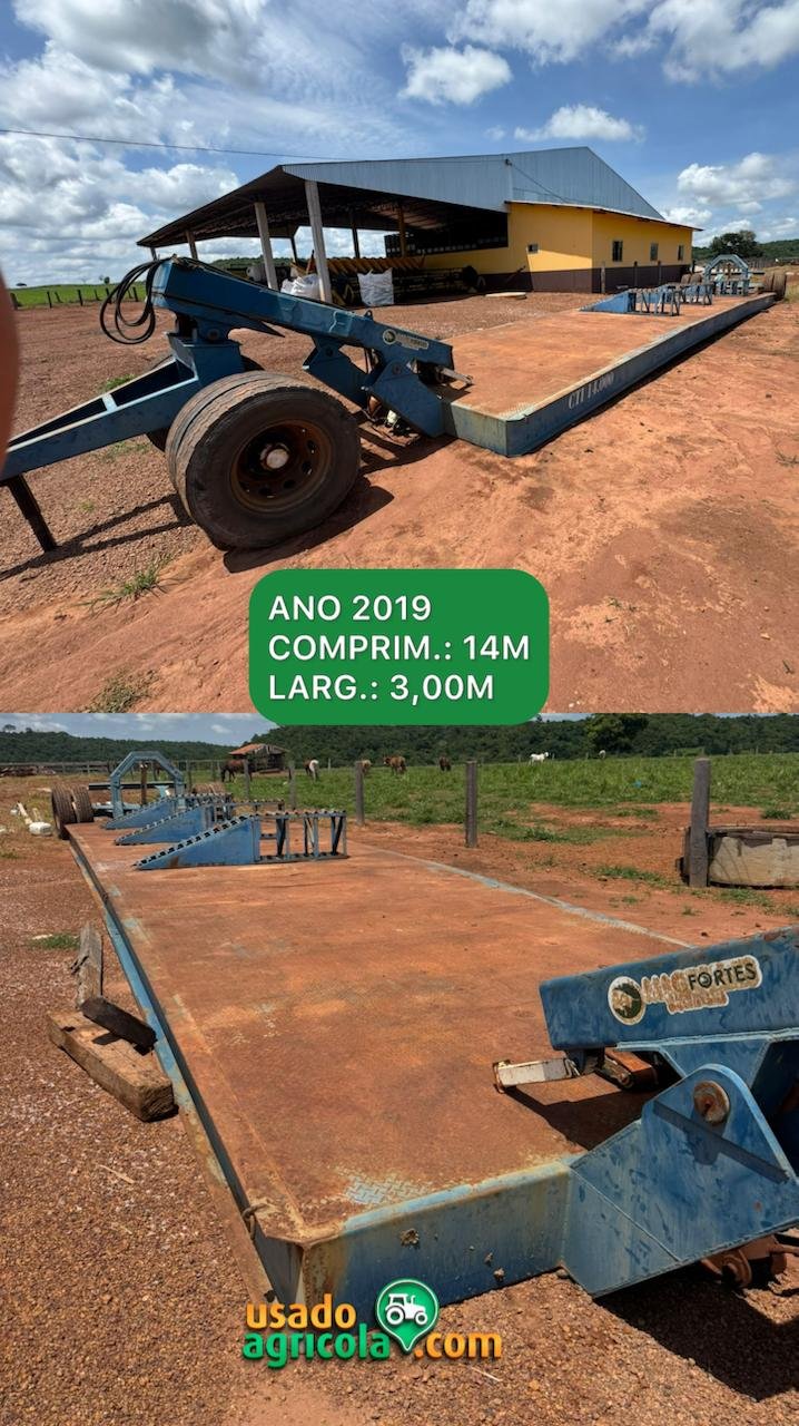 WhatsApp Image 2025-12-17 at 19.24.38 (1)