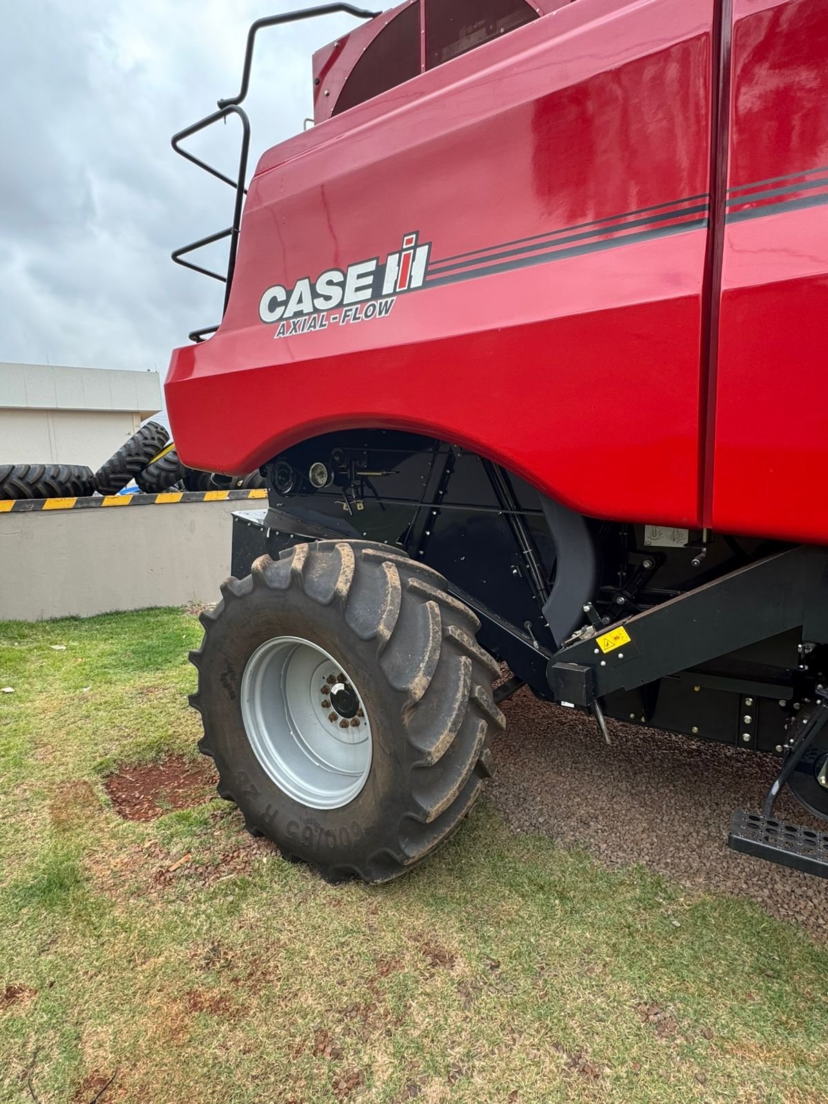 WhatsApp Image 2026-01-08 at 10.29.13