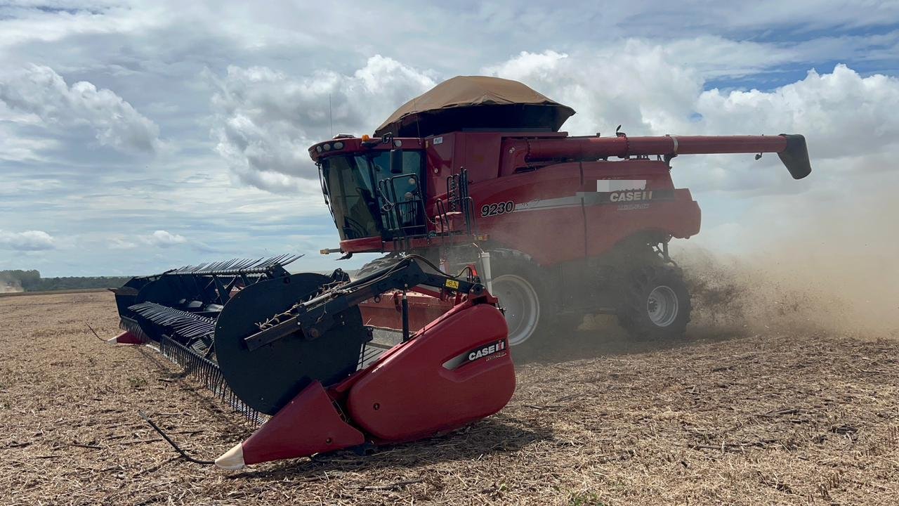 WhatsApp Image 2026-01-15 at 10.03.17