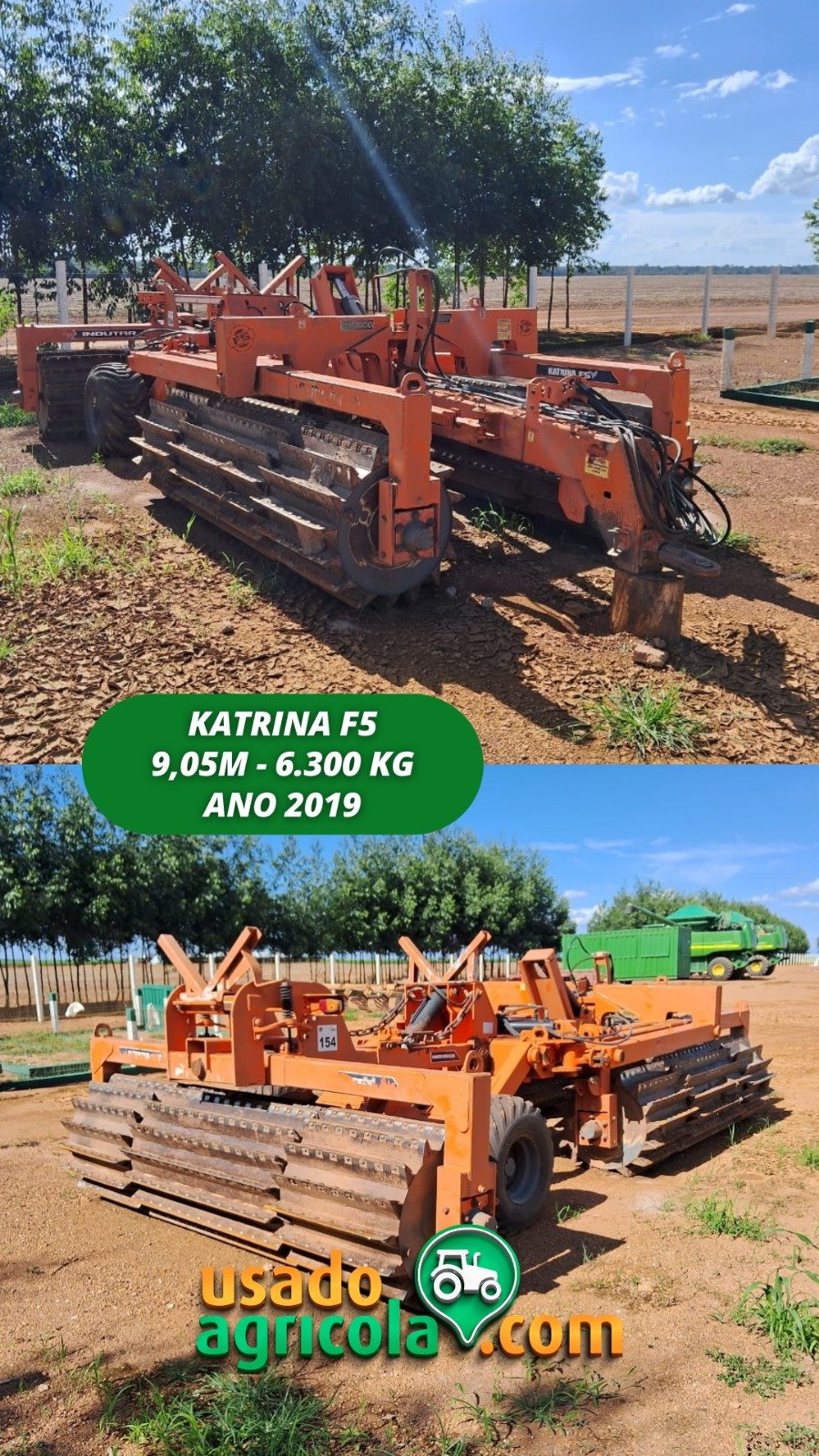 WhatsApp Image 2026-01-19 at 08.17.33