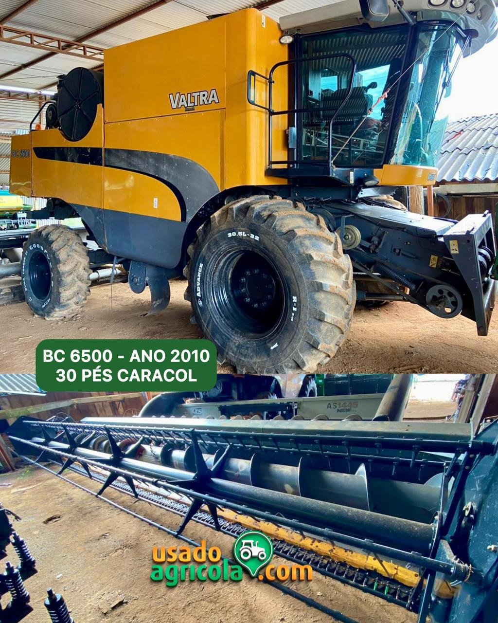 WhatsApp Image 2026-01-20 at 10.19.52