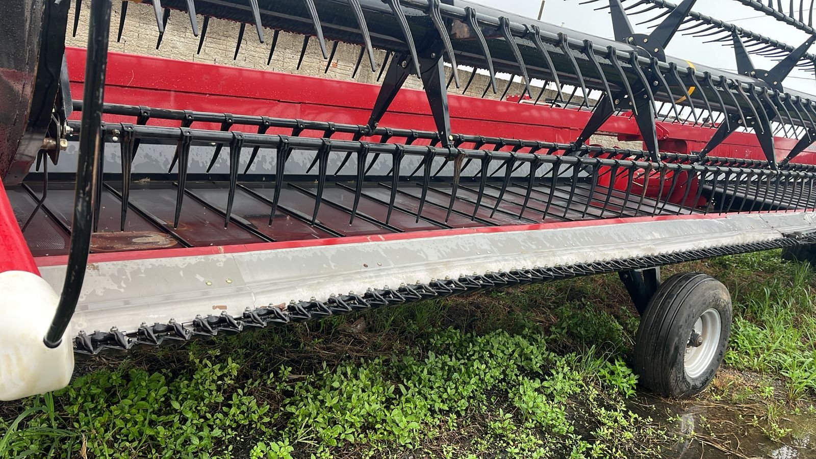 WhatsApp Image 2026-01-21 at 10.44.03 (1)