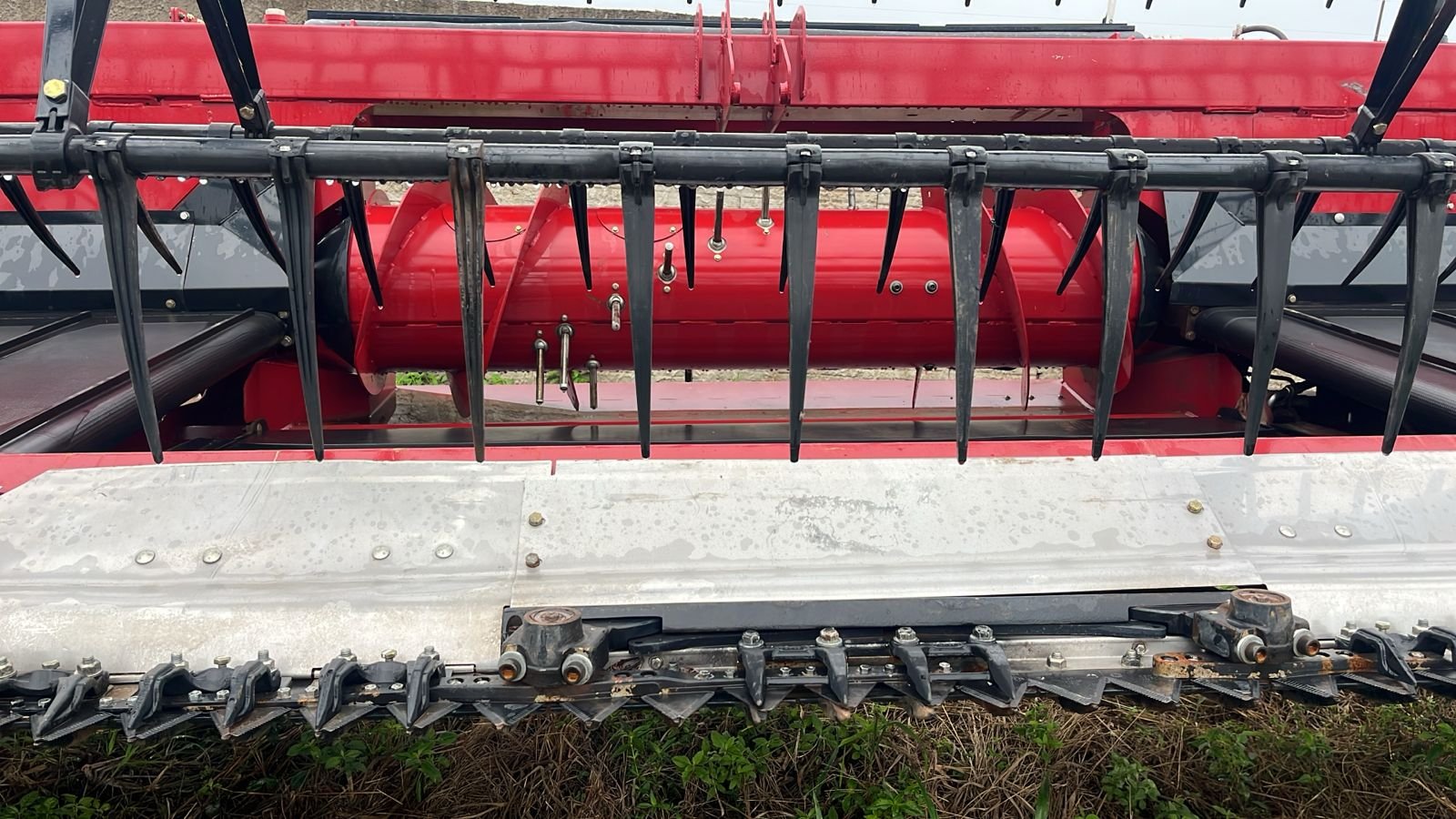 WhatsApp Image 2026-01-21 at 10.44.03 (2)