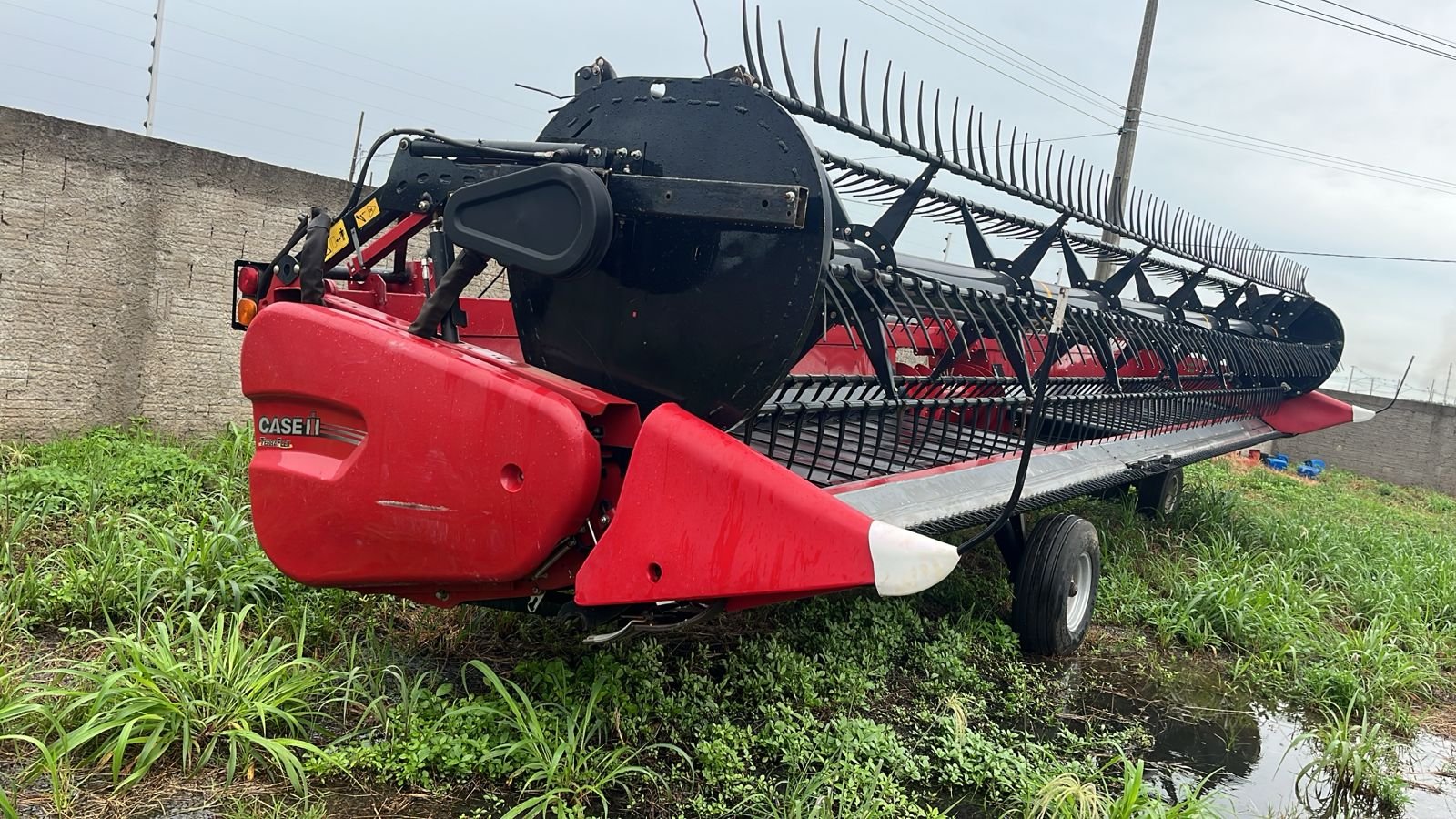 WhatsApp Image 2026-01-21 at 10.44.03