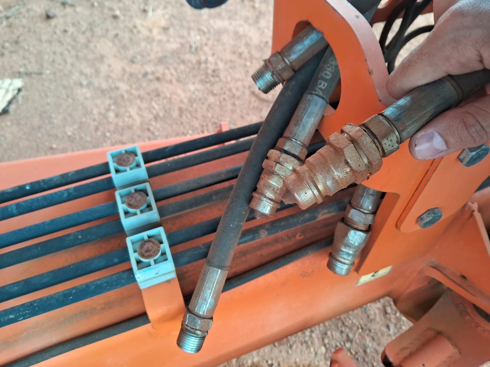 WhatsApp Image 2026-01-22 at 17.49.04 (1)