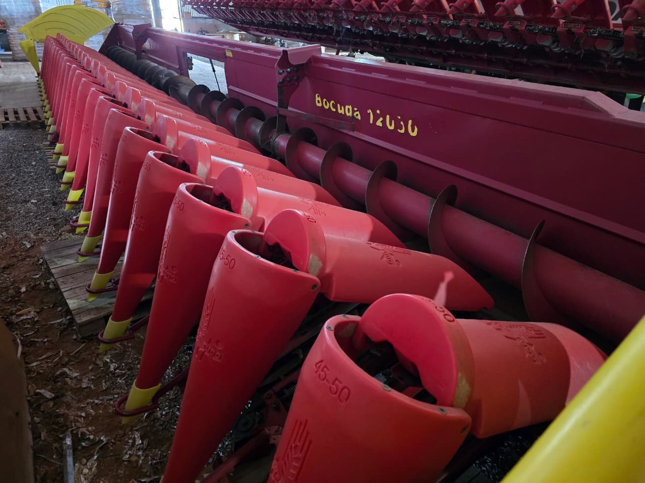 WhatsApp Image 2026-01-23 at 11.05.47