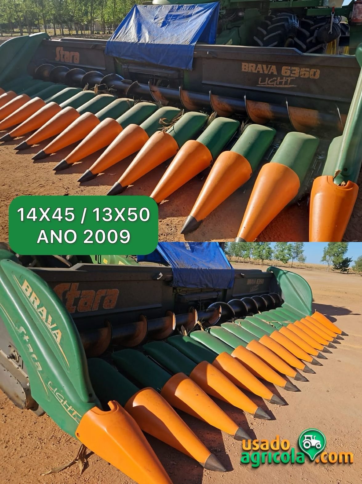 WhatsApp Image 2026-01-29 at 14.08.09