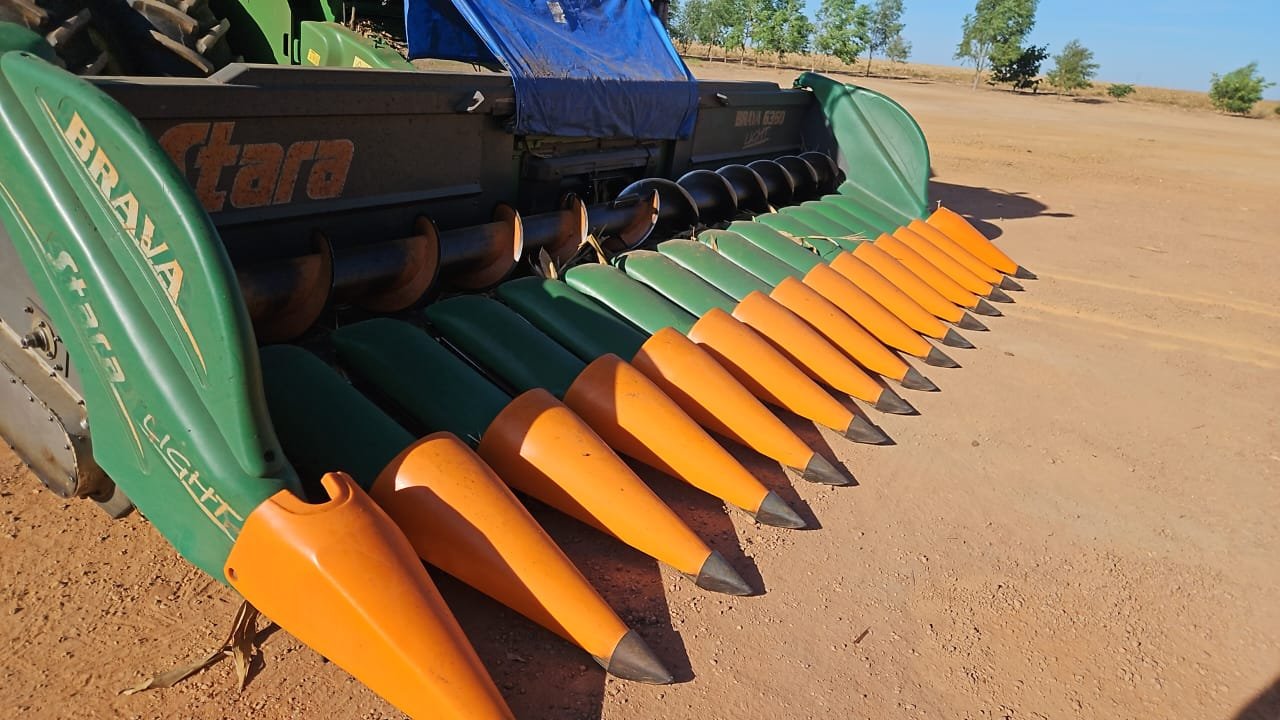 WhatsApp Image 2026-01-29 at 14.08.24