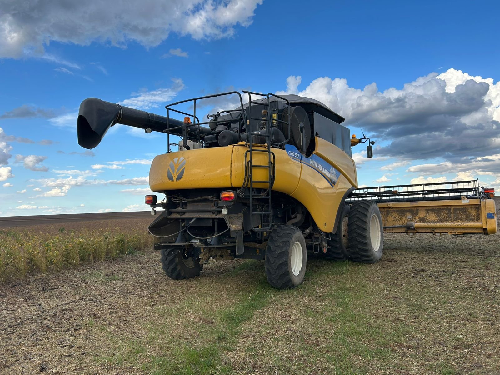 WhatsApp Image 2026-01-30 at 14.59.47