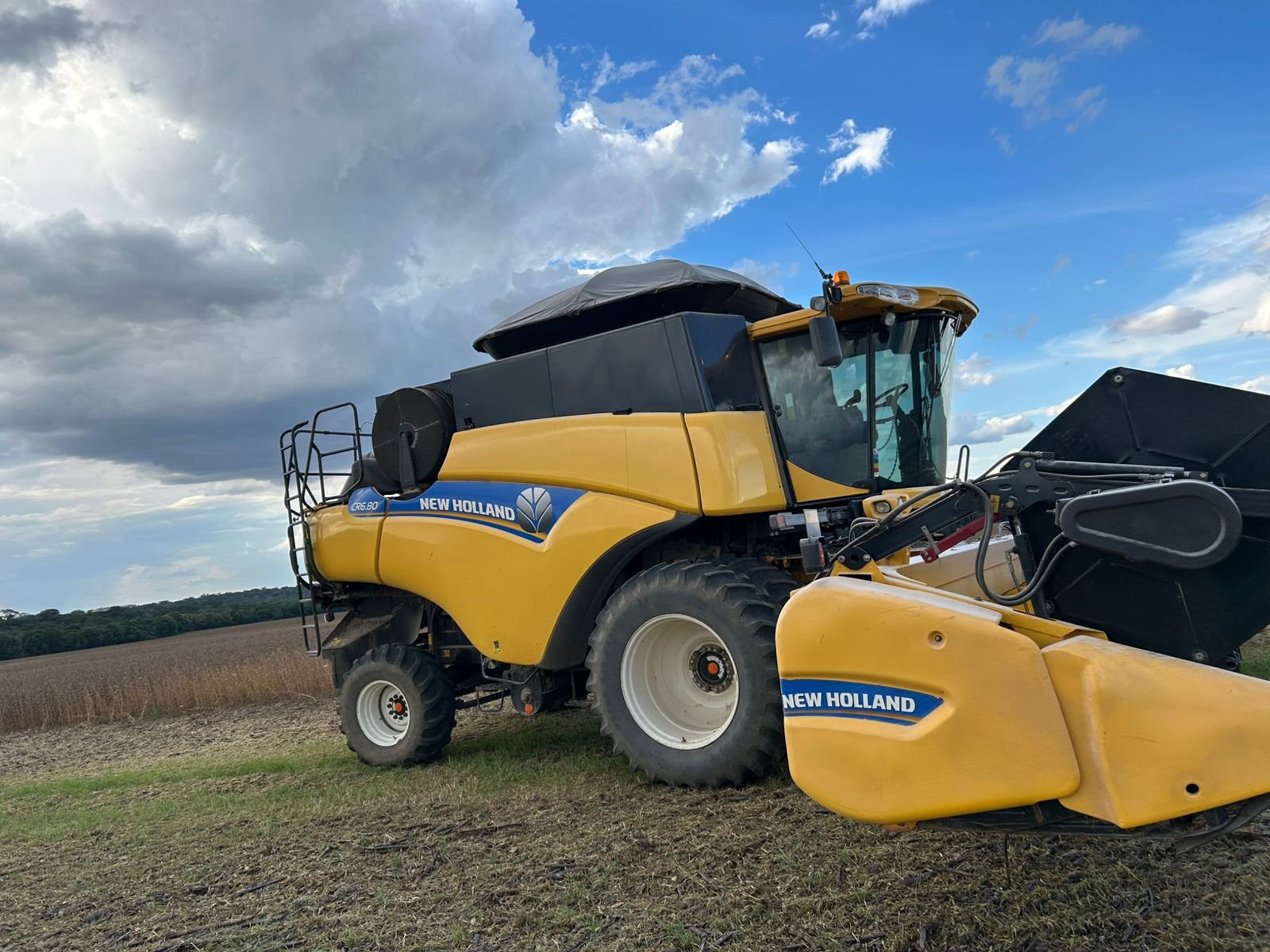 WhatsApp Image 2026-01-30 at 14.59.48