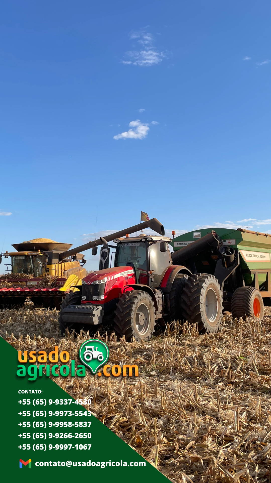 cartaousado (4) - Copia