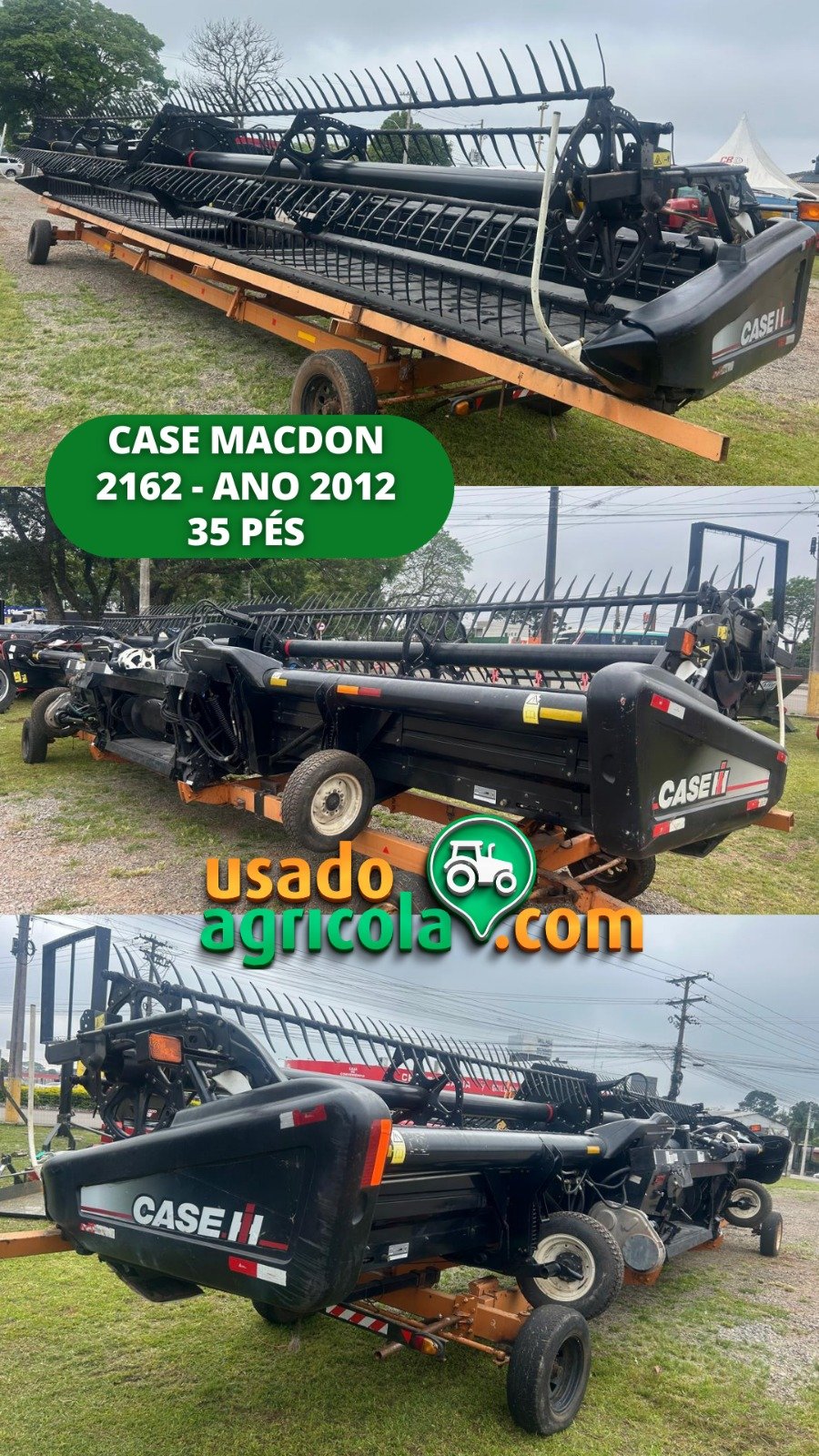 WhatsApp Image 2026-02-04 at 09.52.55