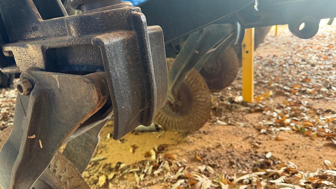 WhatsApp Image 2026-02-18 at 15.36.19