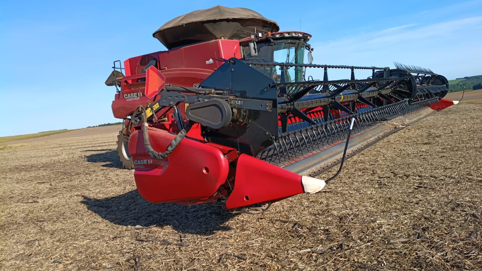 WhatsApp Image 2026-02-25 at 14.42.18