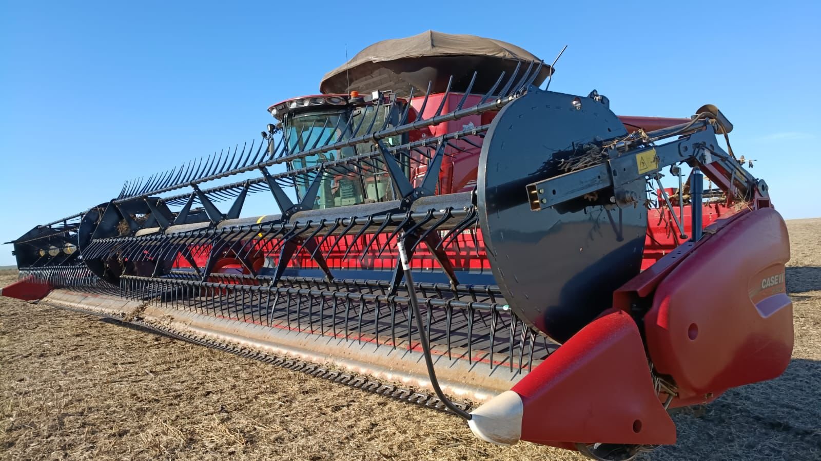 WhatsApp Image 2026-02-25 at 14.42.19 (1)