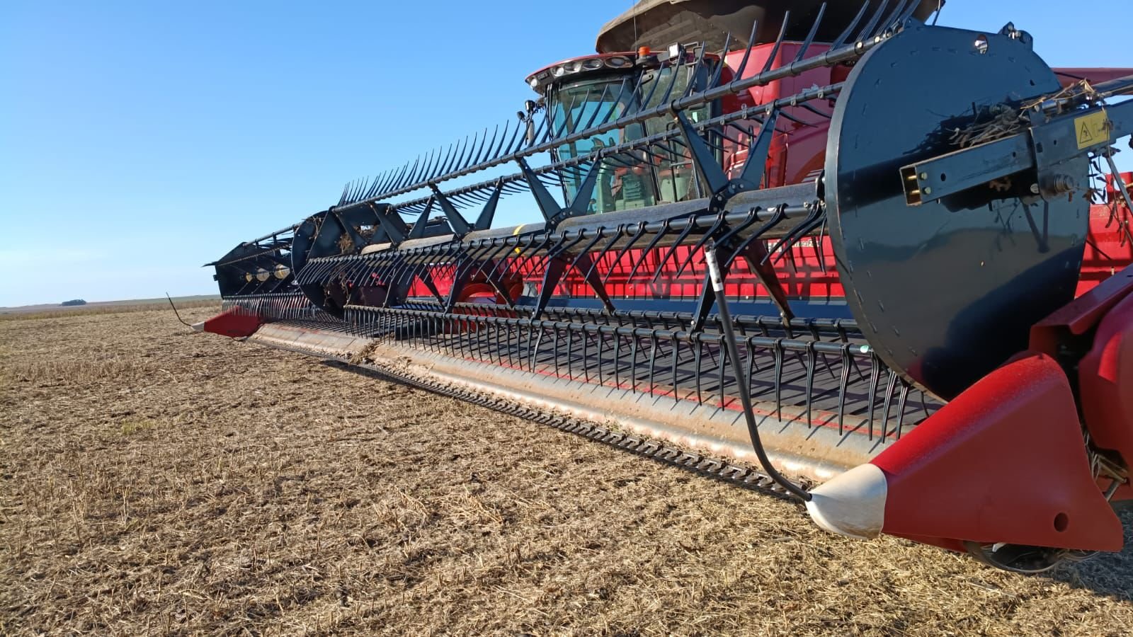 WhatsApp Image 2026-02-25 at 14.42.19