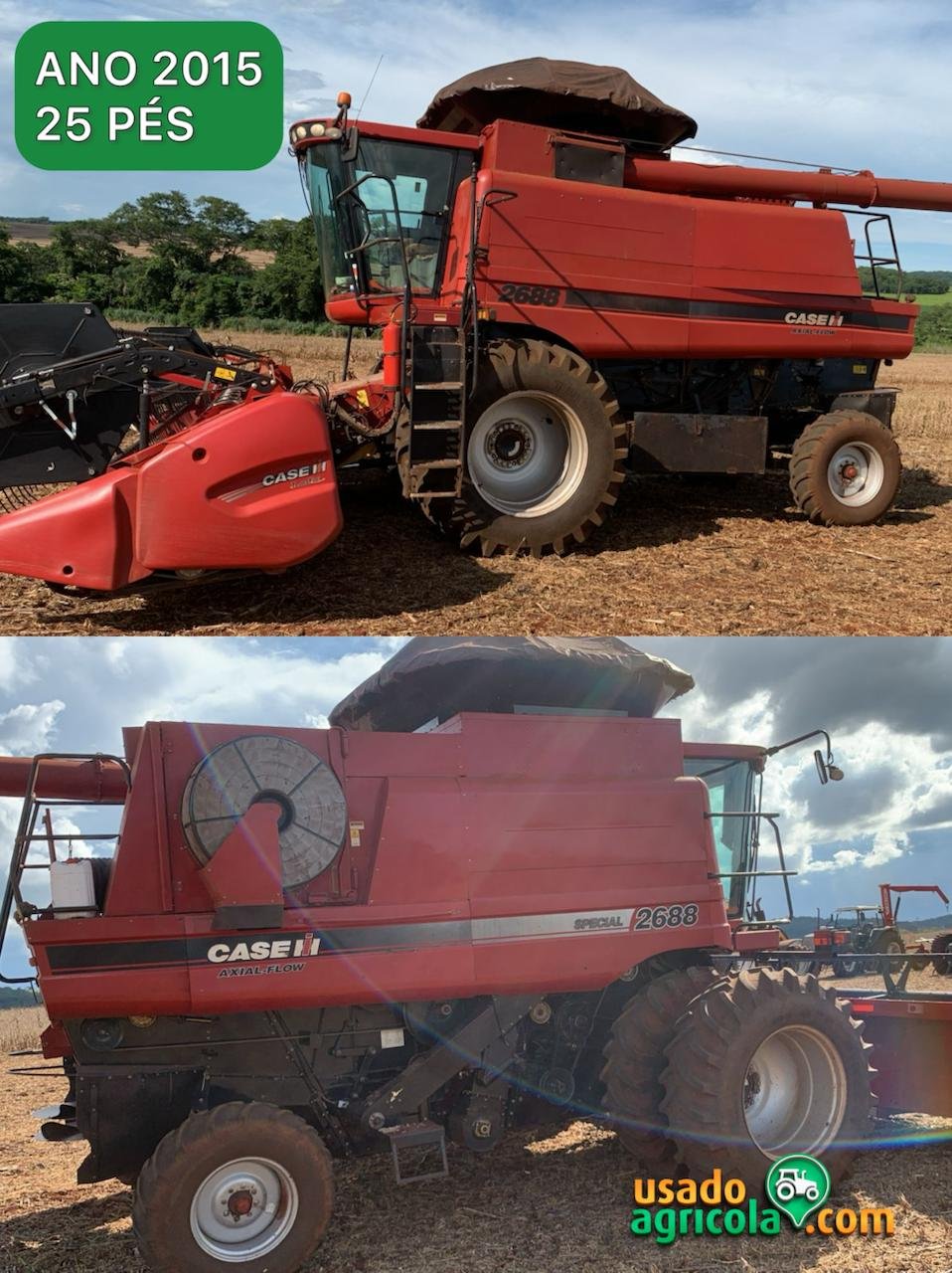 WhatsApp Image 2026-02-26 at 07.22.40