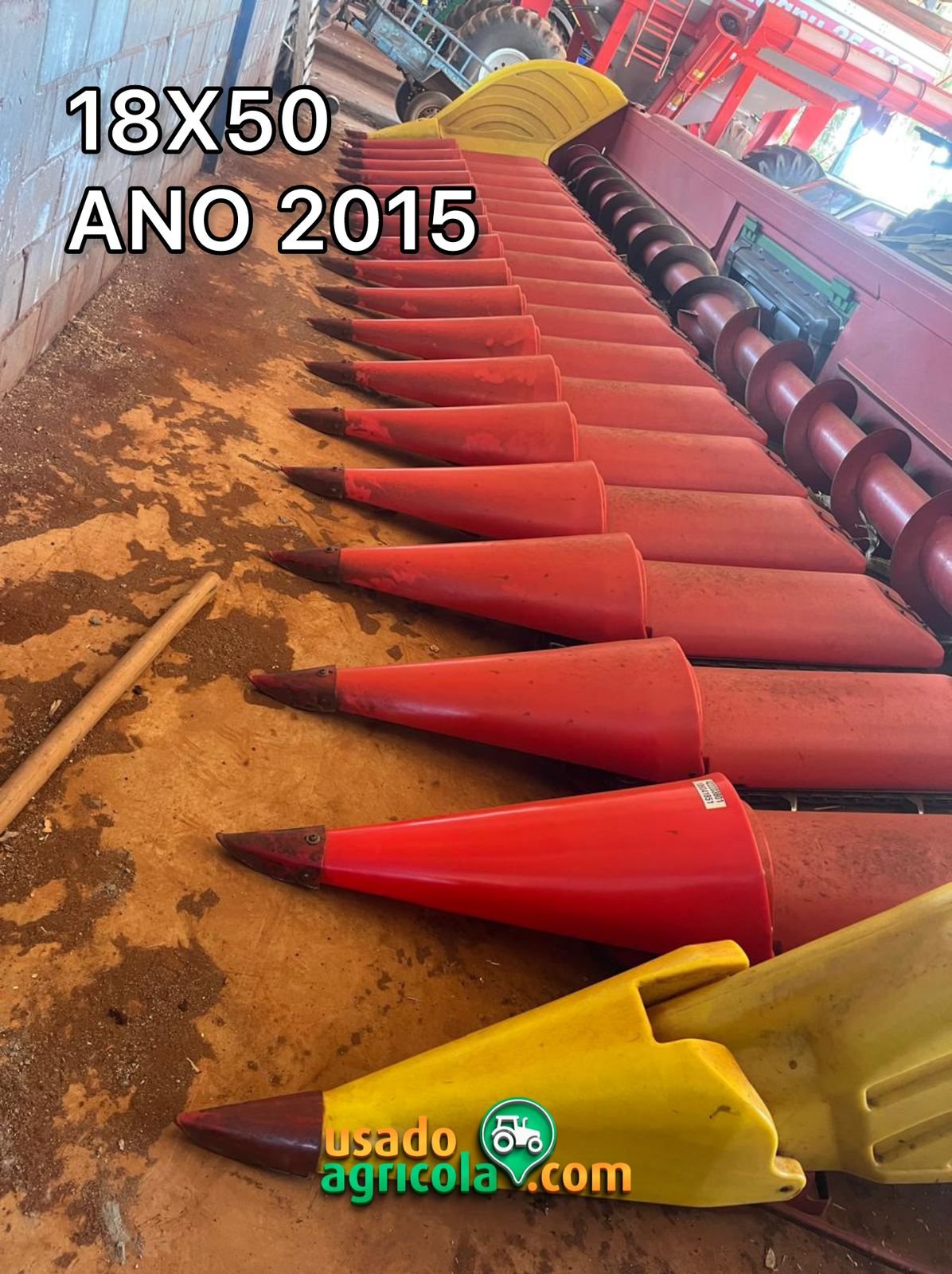 WhatsApp Image 2026-03-11 at 07.37.31