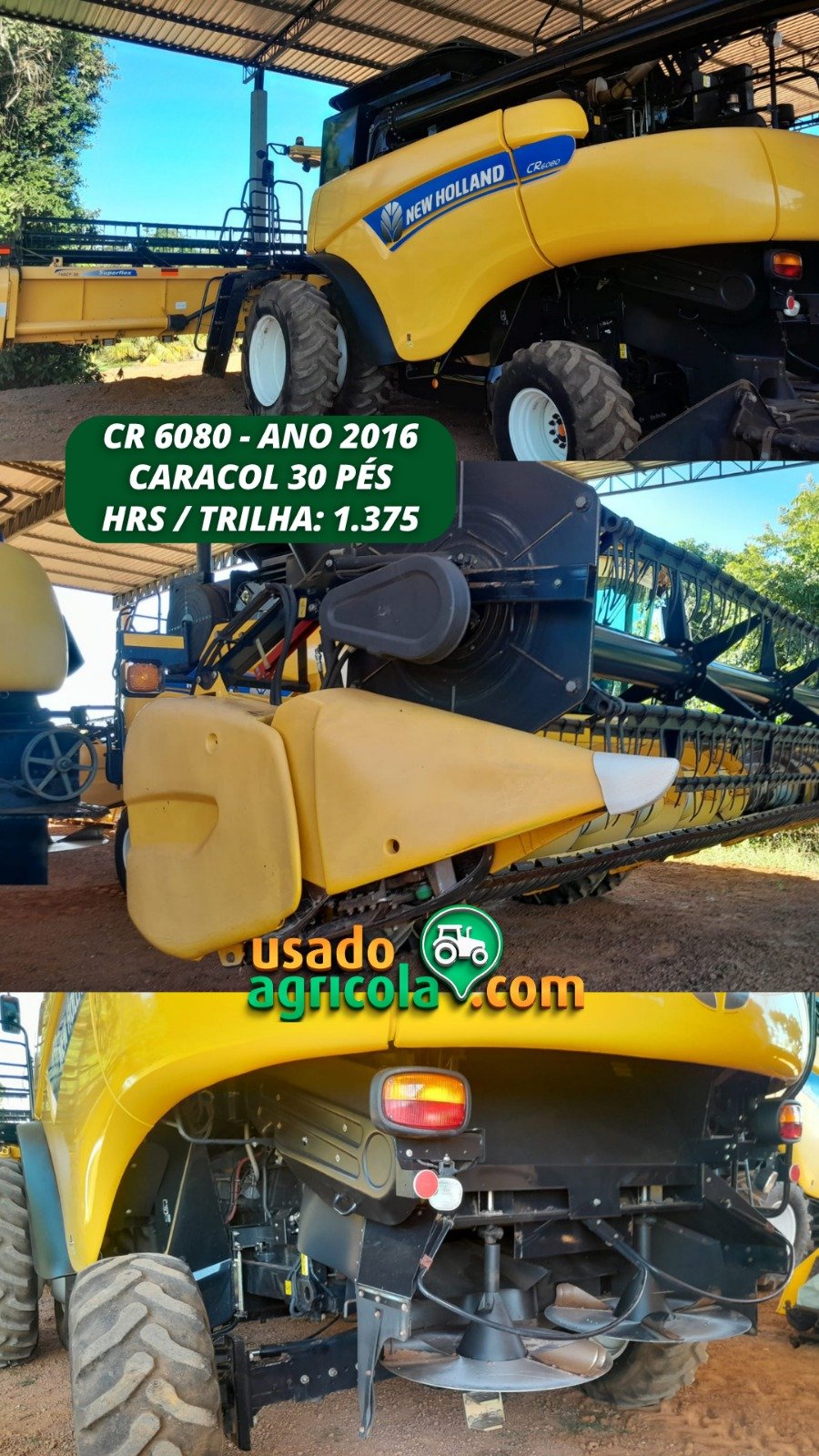 WhatsApp Image 2026-03-26 at 16.53.13