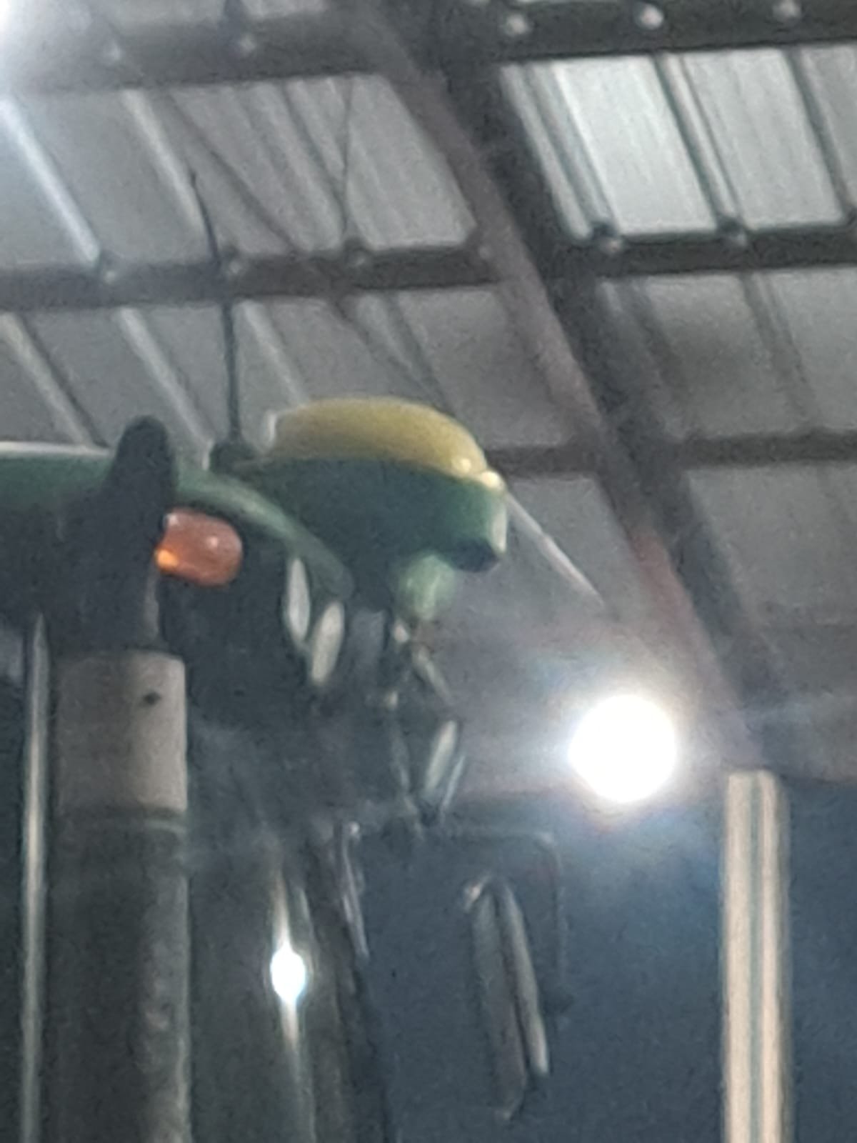 WhatsApp Image 2026-04-08 at 14.51.00 (2)