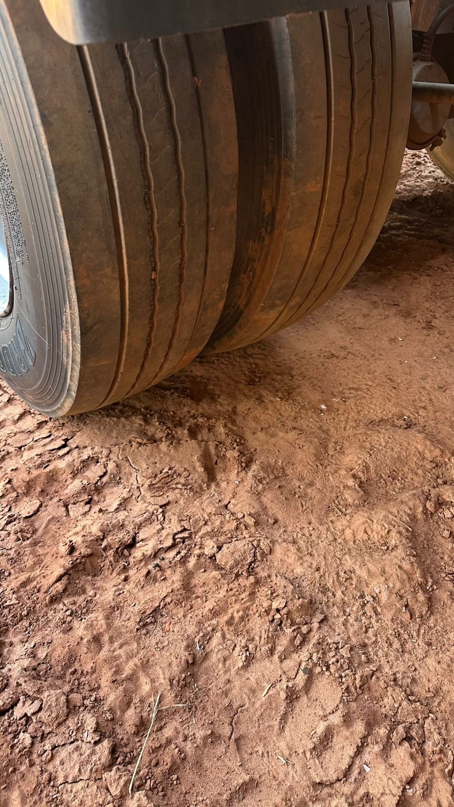 WhatsApp Image 2026-04-09 at 17.19.16 (3)