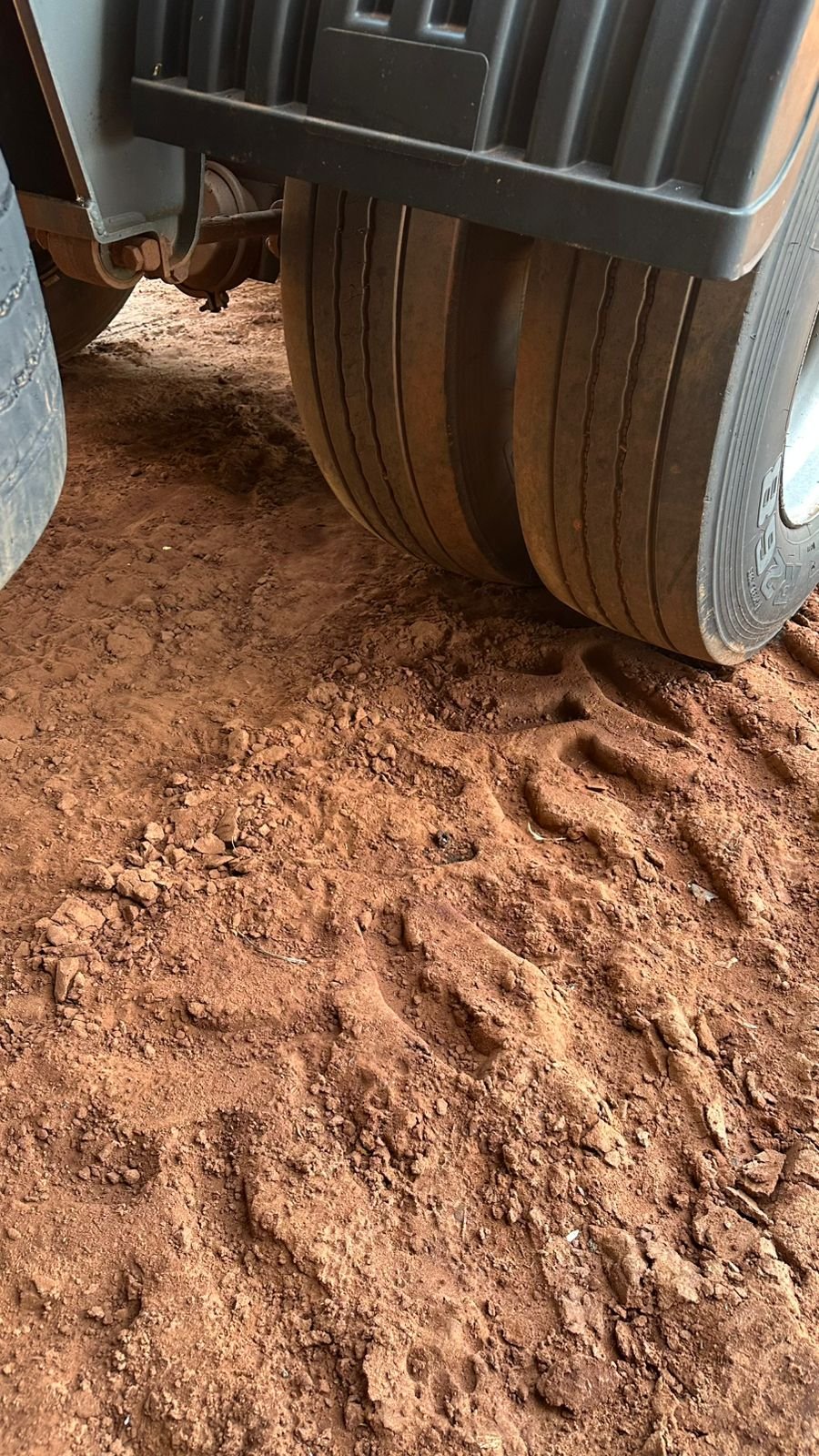 WhatsApp Image 2026-04-09 at 17.19.17