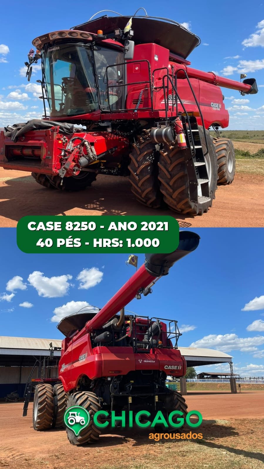 WhatsApp Image 2026-04-20 at 16.46.13